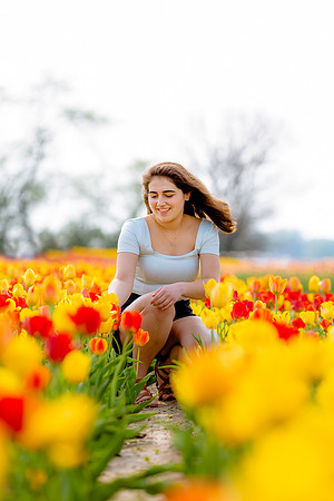 Annabelle tulips-12